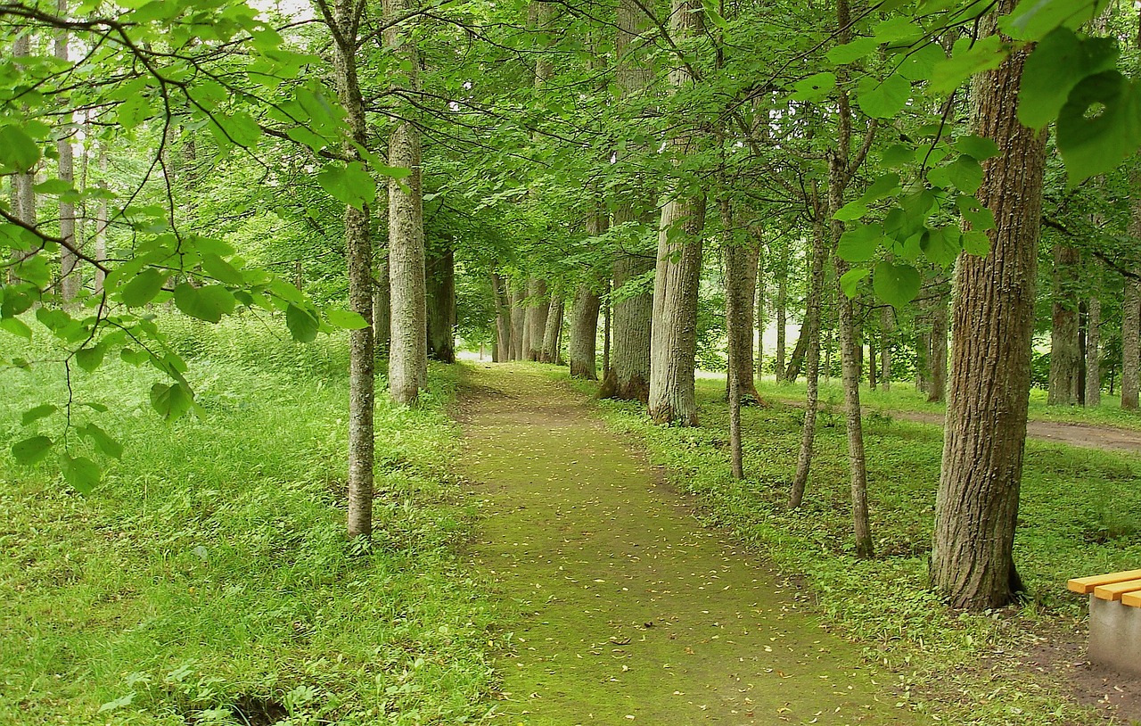 příroda lotyšsko 