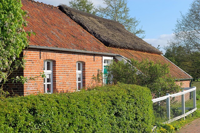 Budeme kupovat plastová okna. 